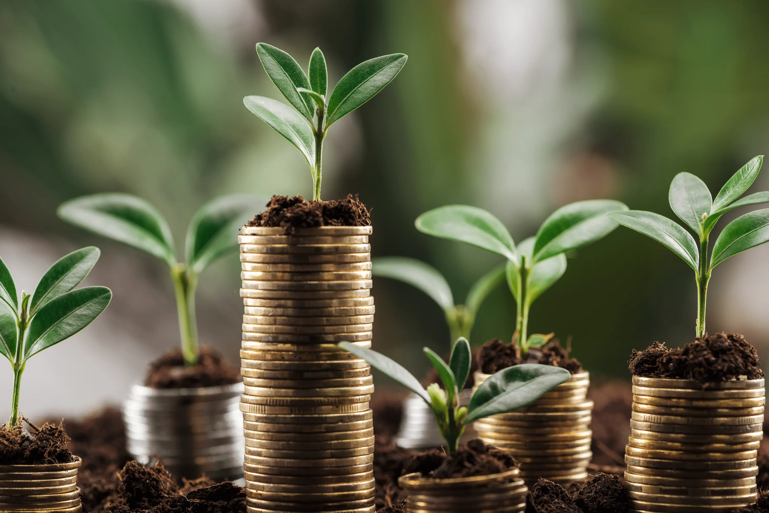 Des investissements portent leur fruit - comment investir en bourse ?
