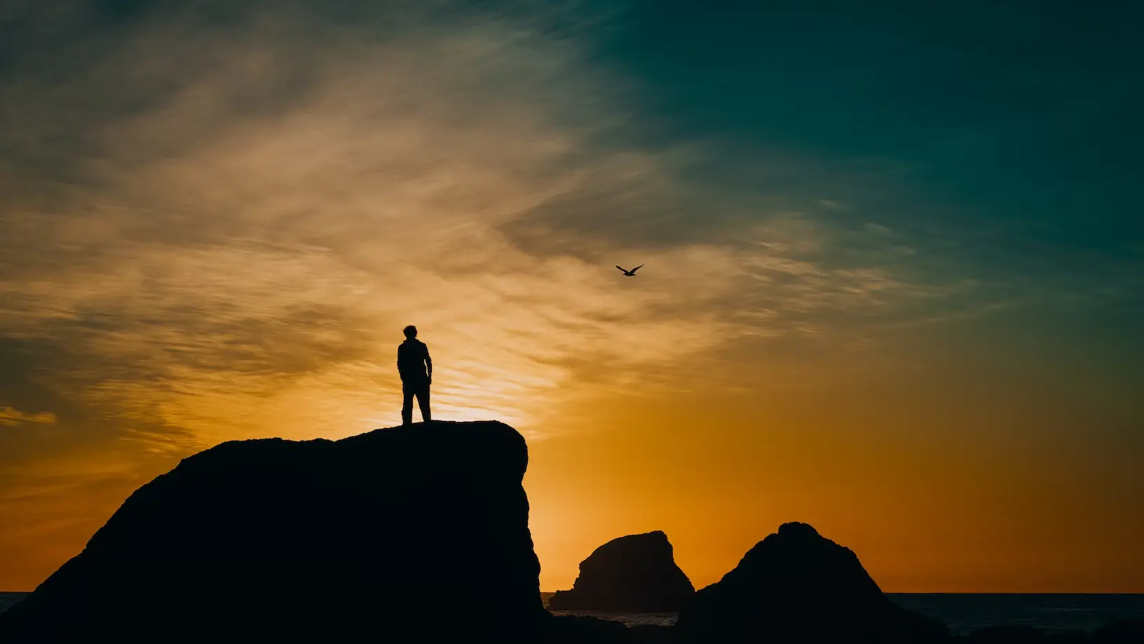 Homme se tenant debout sur un rocher, coucher de soleil, oiseau, mer