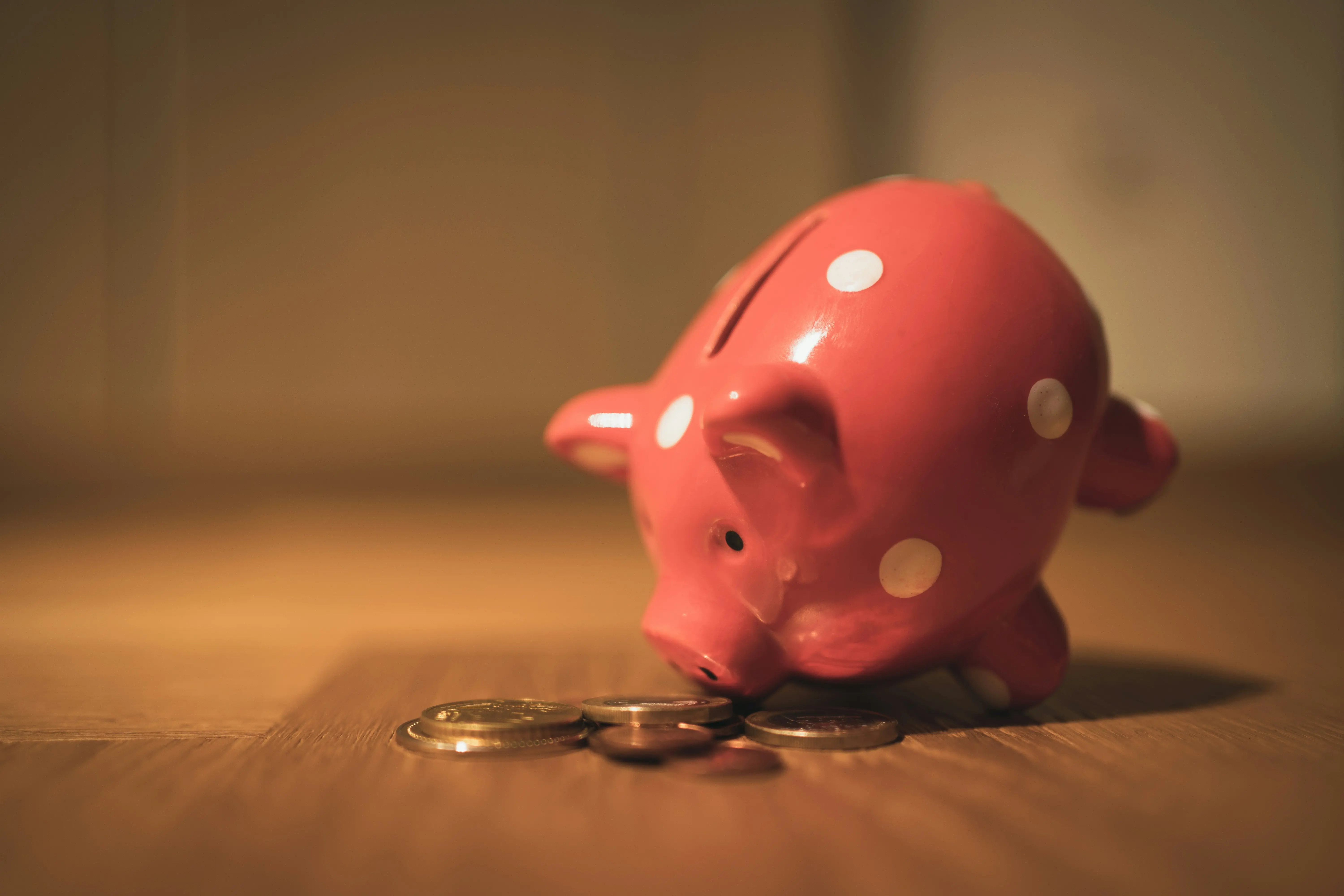 Tirelire cochon représentant l'épargne des français