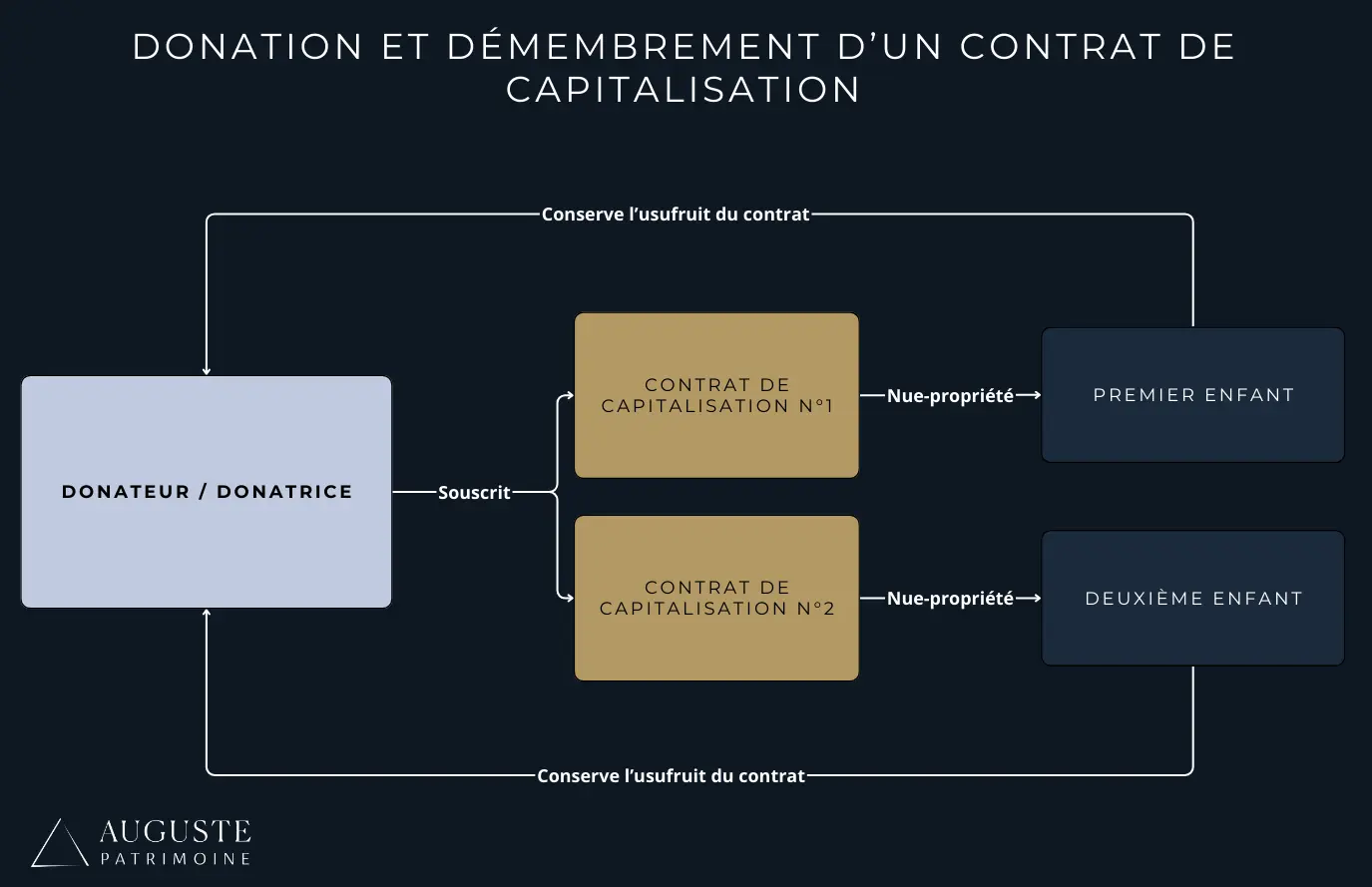 Un schéma expliquant le démembrement d'un contrat de capitalisationa