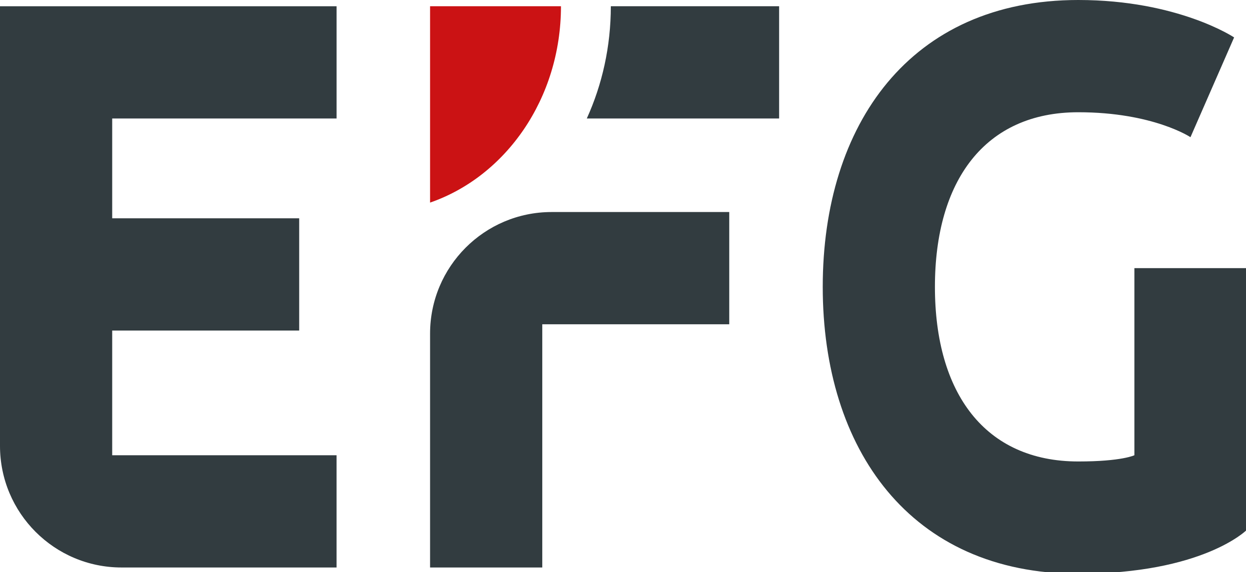 Logo de la société EFG
