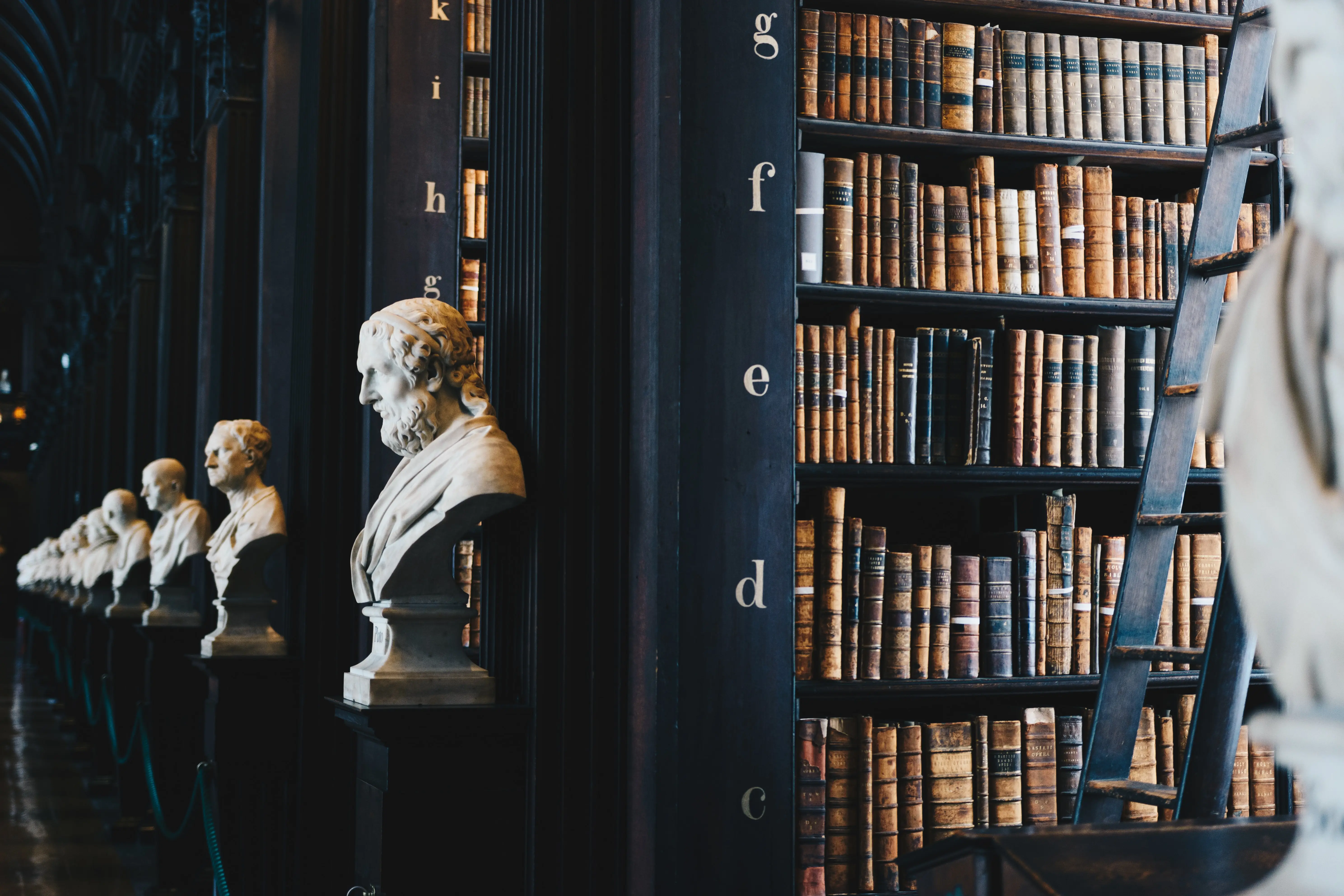 Bibliothèque, statues